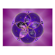 Venus-Blume des violetten Rosas der Liebe-schönen  Postkarten