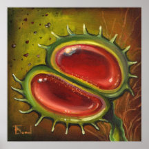 Venus Fliegenfalle Plakatdruck