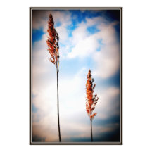 Verdammung säubert photographischen Druck