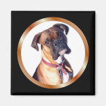 Vermisst Sie Boxer Magnets