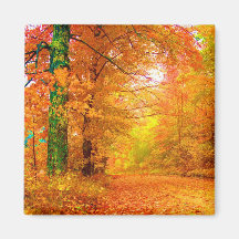 Vermont-Herbst Kühlschrankmagnet