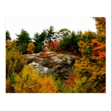Vermont-Herbst Postkarten