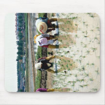 Verpflanzende junge Reis-Pflanzen Mousepad