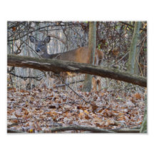 VERSTECKEN KUNST PHOTO