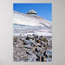 Versteinerter Wald - Wüsten-Nationalpark Plakat