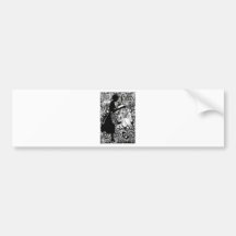 VERWIRRTES LAND COOK.jpg Auto Sticker