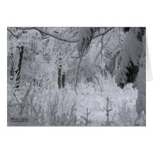 Verzauberter Winter-Wald Karte