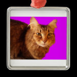 Verzierung der Katzen-14 ornaments