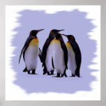 Vier Pinguin-Plakat 24X24 "
