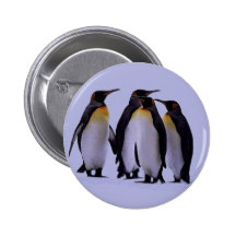 Vier Pinguine Anstecknadelbuttons