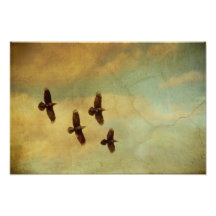 Vier Raben-Fliegen Fotodruck