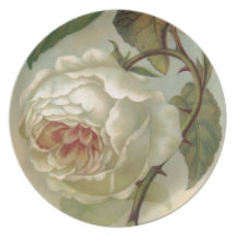 Viktorianische Rosen-Postkarten-Illustration Flacher Teller