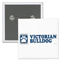VIKTORIANISCHES BULLDOG_blue Anstecknadelbuttons