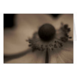 Vintage Anemonen-Gruß-u. Anmerkungs-Karte