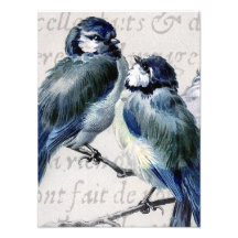 Vintage blaue Vogel-Collage - kundengebundene Dros Fotografische Drucke