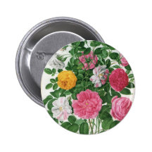 Vintage blühende Blumen, Frühlings-Garten-Rosen Anstecknadelbutton