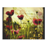 Vintage Blumen Postkarte