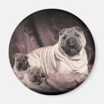 Vintage Chinese Shar Pei Falten, Welpen-Hunde Magnets
