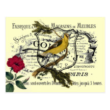Vintage gelbe Vogel-Eintagsfliege-Collage Postkarten