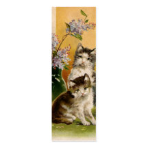Vintage Haustier-Tier-viktorianische Katzen-Kätzch Visitenkarten Vorlagen