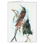 Vintage Kolibris Grußkarte