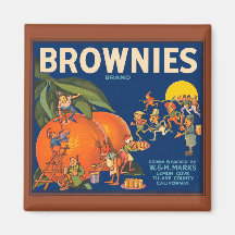 Vintage Schokoladenkuchen-orange Frucht-Kisten-Auf Magnete