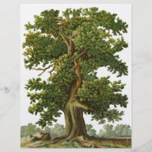 Vintager Eichen-Baum-Gewohnheits-Flyer