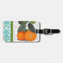 Vintager Frucht-Gepäckumbau Floridas orange Koffer Anhänger