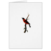 Vintager mit Kapuze Samen-Esser Vogel Notecard Grußkarten