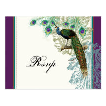 Vintager Pfau, Federn - UAWG Wartepostkarte