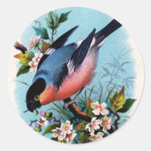 Vintager Retro Vogel auf eine Niederlassungs-Aufkl