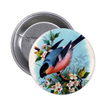 Vintager Retro Vogel auf einem Niederlassungs-Knop Buttons
