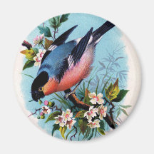 Vintager Retro Vogel auf einem Niederlassungs-Magn