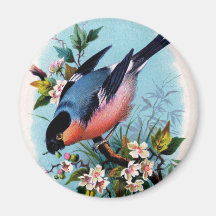 Vintager Retro Vogel auf einem Niederlassungs-Magn