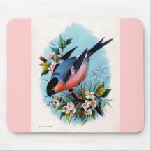 Vintager Retro Vogel auf einer Niederlassung Mouse
