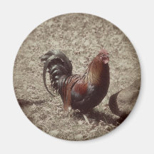 Vintager roter Hahn Kühlschrankmagnet