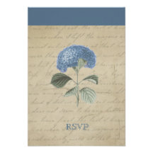 Vintages blaues Hydrangea UAWG Ankündigung