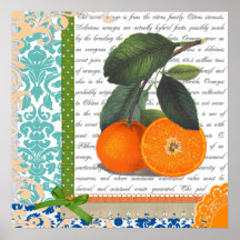 Vintages orange Frucht-Küchenkunst Plakat
