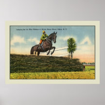 Vintages Pferd, das Aikin Sc springt Plakat