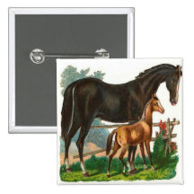 Vintages, schwarzes Pferd u. kleines Brown-Pferd Buttons