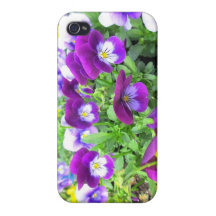 Violets from Sweden Cover For iPhone 4