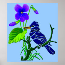 Violettes und blaues Jay Plakatdrucke