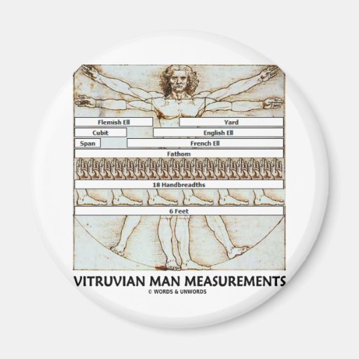 Vitruvian Mann-Maße Magnete