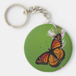 Vizekönig-Schmetterling Schlüsselband