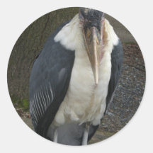 Vogel? Aufkleber