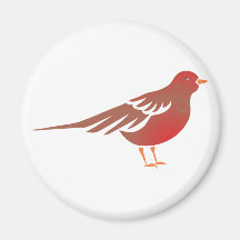 Vogel bird magnete