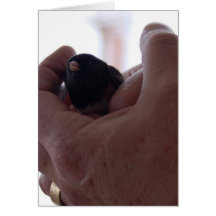 Vogel in der Hand Grußkarte