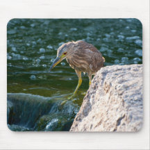 Vogel in Wasser mousepad