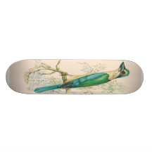 VOGEL INDIVIDUELLE DECKS
