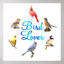 Vogel-Liebhaber Posterdrucke